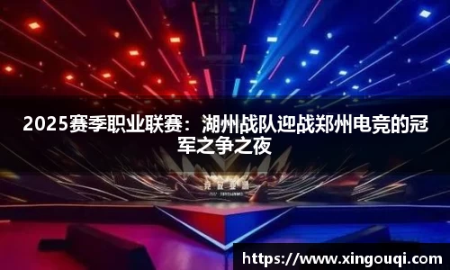 2025赛季职业联赛：湖州战队迎战郑州电竞的冠军之争之夜