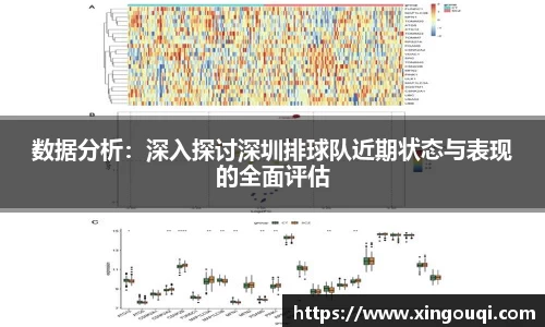 数据分析：深入探讨深圳排球队近期状态与表现的全面评估
